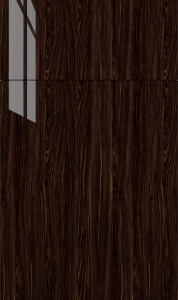 Catalina cabinet door by Fabuwood in Guayana Gloss finish