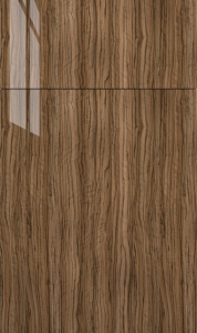 Catalina cabinet door by Fabuwood in Olivo Gloss finish